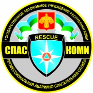 Открытое личное Первенство ГАУ «Спас-Коми» по спортивному ориентированию в ночных условиях Открытое личное Первенство ГАУ «Спас-Коми» по спортивному ориентированию в ночных условиях